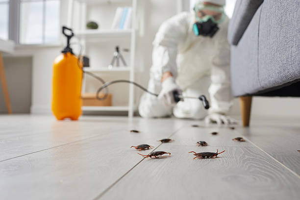 Commercial Kitchen Cockroach Control in West Richland